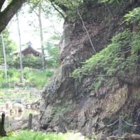 岩の上に止まった、カワセミの姿、ドキドキ眺め　G公園(岐阜県岐阜市)