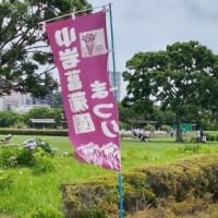 小岩菖蒲園