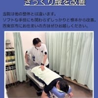 【東伏見駅◇徒歩30秒】上田式無痛整体でぎっくり腰改善