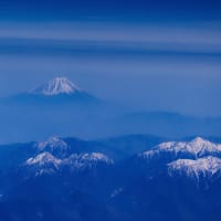 青森・北海道の撮影旅行その２０　（うらかわオバケ桜ほか）
