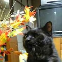 片付け