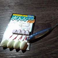休日に雪はやめろーー(¯―¯٥)