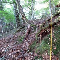 五番関から大峰山寺まで往復しました。　その1　2024年9月13日