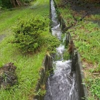 雨・雨