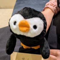 演奏会へ