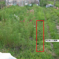 2013.7.26保津