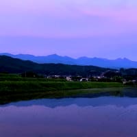 水鏡に映る八ヶ岳夕景を眺めながらコーヒーを配達する。