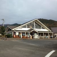 県立秦野戸川公園