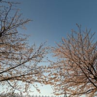 今日いち-2025年4月7日