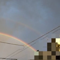 虹