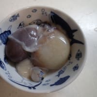 那珂湊、大洗沖　タコ釣行記２ 悪夢の釣行！！！
