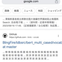 樺澤潤は海外でも通用するか？