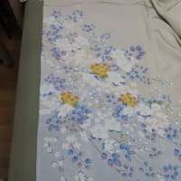貸衣装訪問着単衣（撥水加工済み）シャンパンしみ　水洗い・しみ抜き　正絹素材