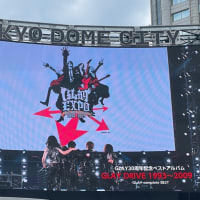 GLAY 6/1 30th Anniversary GLAY EXPO 2024-2025 GRAND FINALE at 東京ドーム