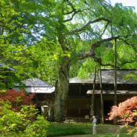 おもと大学移動講座に参加して