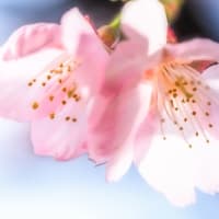昨日は横浜に散歩