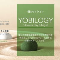 YOBILOGY 10月・11月・12月のワークショップ