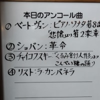 辻井伸行 日本ツアー 2025