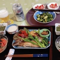 実山椒摘み