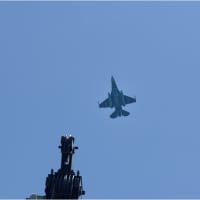 滅多にやって来ないジェット戦闘機を写しに行ってはみたが