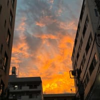 最高の時は演出できない、という恐れ3