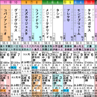 【メリタテス】いきなり通用？するでしょう！ 6/19函館 檜山特別・枠順＆予想