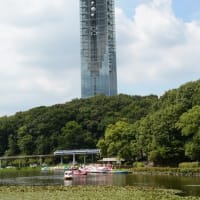 東動植物園-ショクダイオオコンニャク-1