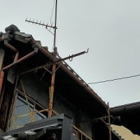 昭和余年は春も宵…　路地裏散歩