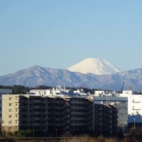今日はきれいに・・・・富士山