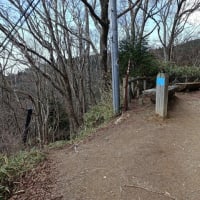 汗ばむ陽気（522回目）