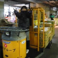 深夜作業の　女性増加。