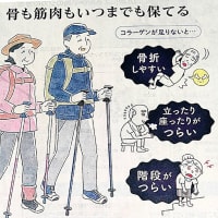 五月16日（金）晴れ少し汗ばむかな！衣替え移行に躊躇の日々・・