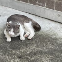 看護補助の仕事