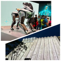 2025 EXPO  未来の都市パビリオン