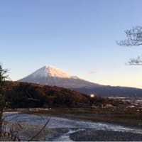 今朝の富士山です