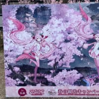弘前桜まつり2025② 桜ミクコラボ