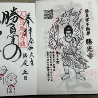 久しぶりの御朱印