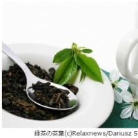 緑茶に歯周病予防効果の可能性＝九州大学