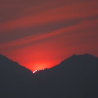 二上山の日の出～北大伴　千早川４　２０２５．７