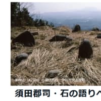 キジムナーの杜へ行ってきました