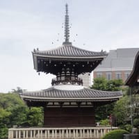 金剛力士像が迎えてくれる！護国寺！不老門を潜ると大仏も六地蔵もいるよ！