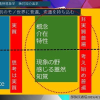 ヘーゲル著精神現象学の紹介　第二章Perceptionの４回目　Youtube案内