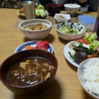 NINJAを買ってもらったよ