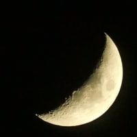 昨夜の月