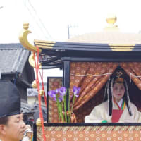 明和町「第42回斎王まつり」見てきました～(^^) 2025