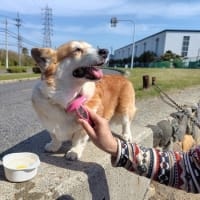 4連休！！