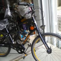 ELCTRA タウニーの中古車、2万円也。