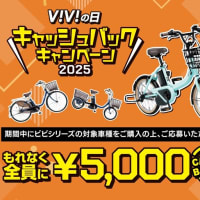 ６月６日は「ViViの日」感謝祭！現行モデルのVIVi購入で、５０００円キャッシュバック！