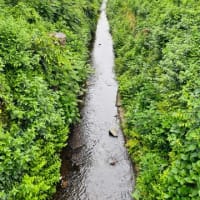 朝ラジオ