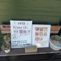 ランチは和食のお店で